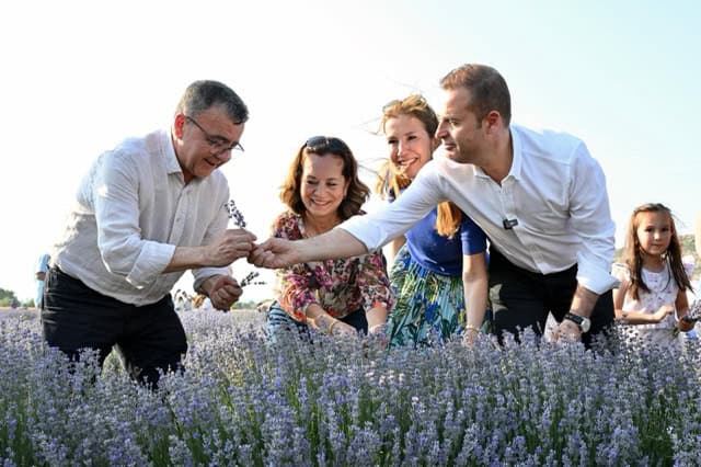 Lavanta Günlerine olan ilgi her yıl artıyor