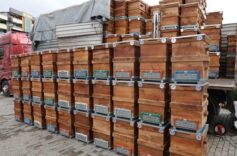 Arı kovanları ve arıcılara destek amacıyla sağlanan kovanlar.