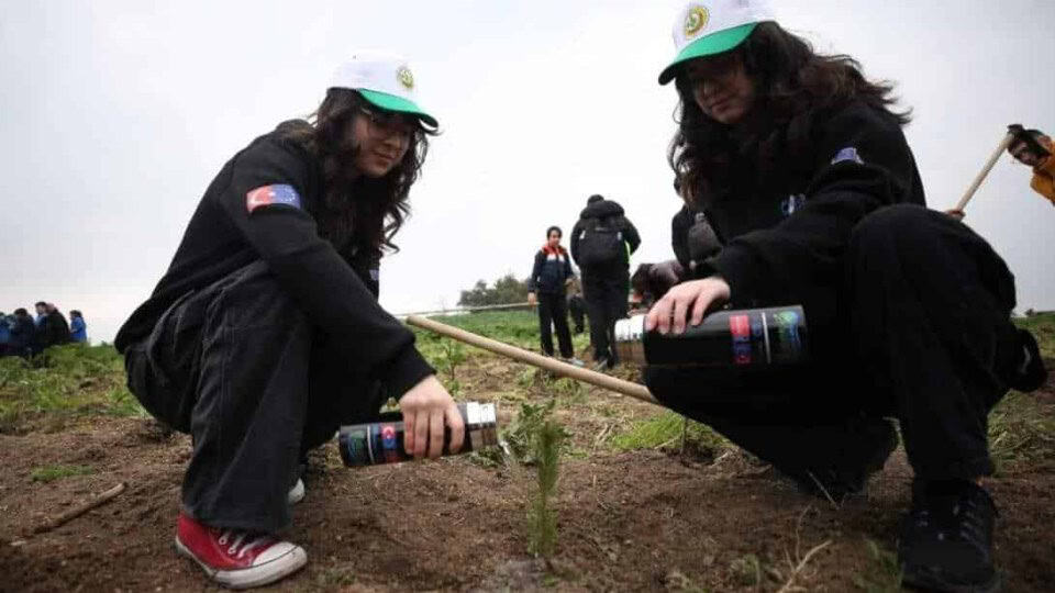 Bursa OİB Meslek Lisesi Öğrencileri, Yurt Dışı Stajlarında Karbon Emisyonunu Fidan Dikerek Azaltıyor